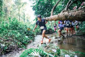 BIB: 
                            <button type="button" onclick="openModal(25461336)" class="btn btn-primary btn-sm float-right btn-popup" data-toggle="modal" data-target=".modal-high-quality">
                        <i class="fas fa-shopping-cart"></i> Add to Cart
                    </button>
                                            <button type="button" onclick="isThisMe(25461336, true)" class="btn btn-success btn-sm float-right btn-popup btn-isme hidden" data-toggle="tooltip" data-placement="bottom" title="นี่คือรูปของคุณใช่ไหม คลิกที่นี่เพื่อเอาเข้าอัลบั้ม">
                        <i class="fas fa-plus"></i> Add to album
                    </button>
                    <button type="button" onclick="isThisMe(25461336, false)" class="btn btn-warning btn-sm float-right btn-popup btn-isnotme hidden">
                        <i class="fas fa-ban"></i> Remove from album
                    </button>